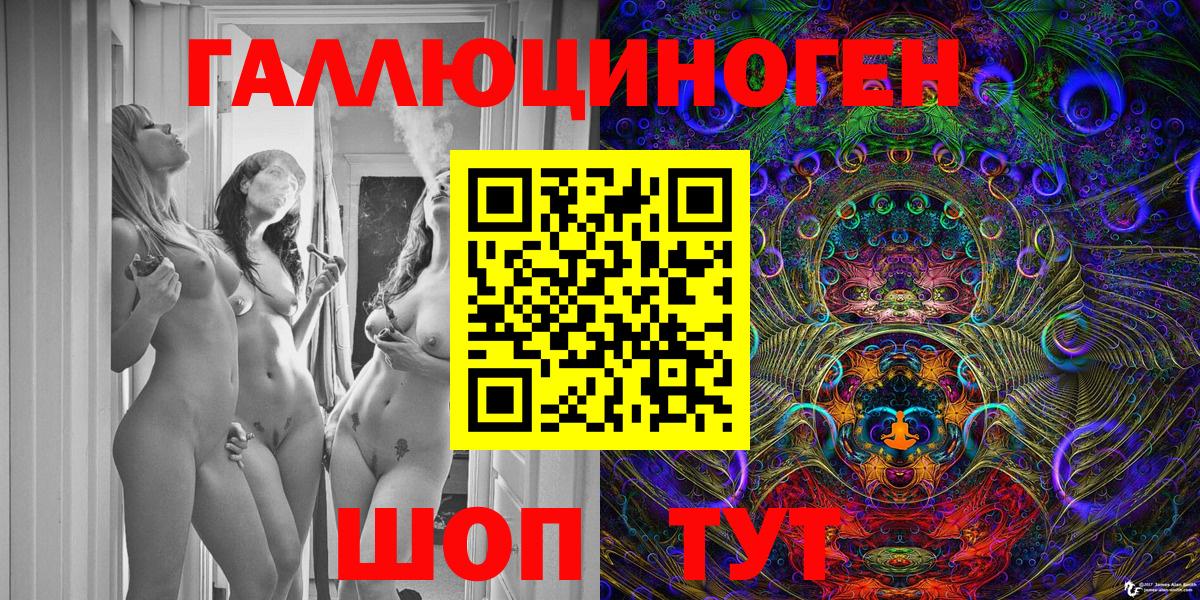 Псилоцибиновые грибы Psilocybe Асино