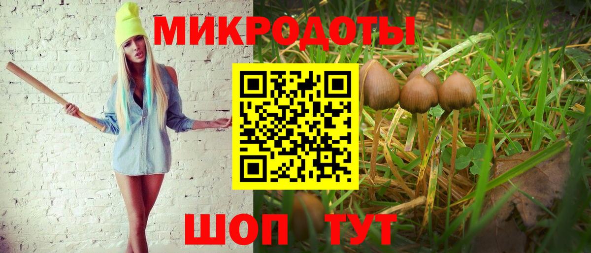 Галлюциногенные грибы мухоморы  Вход с VPN  Асино  Галлюциногенные грибы ЛСД 